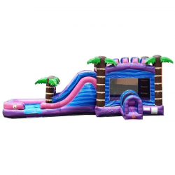 Wet / Dry Mega Purple Marble Bounce House Slide Combo