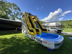 IMG 3986202 1719006435 Bumble Bee Waterslide