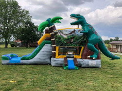 dino203 1753279459 Dino Adventure Wet/Dry Combo